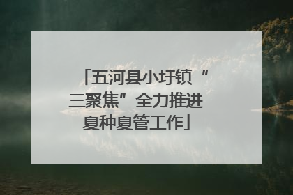 五河县小圩镇“三聚焦”全力推进夏种夏管工作