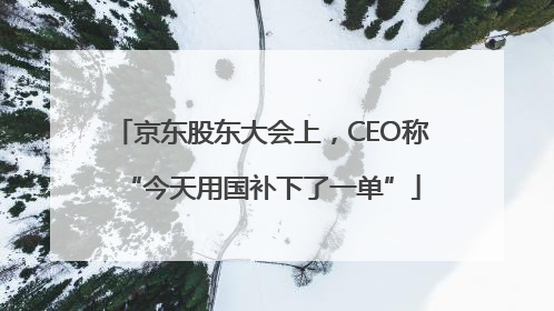 京东股东大会上，CEO称“今天用国补下了一单”