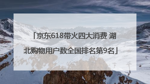京东618带火四大消费 湖北购物用户数全国排名第9名