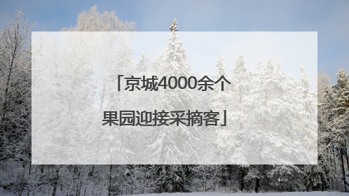 京城4000余个果园迎接采摘客