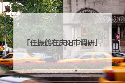 任振鹤在庆阳市调研