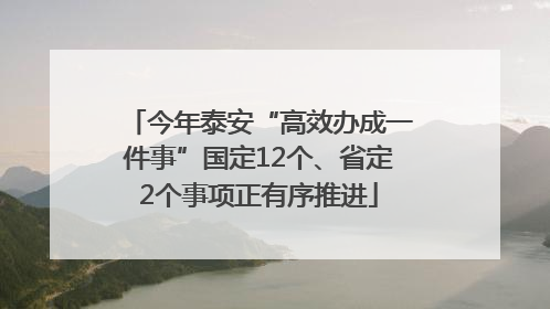 今年泰安“高效办成一件事”国定12个、省定2个事项正有序推进