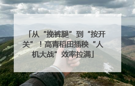 从“挽裤腿”到“按开关”！高青稻田插秧“人机大战”效率拉满