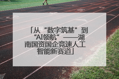 从“数字筑基”到“AI领航”——湖南国资国企竞速人工智能新赛道