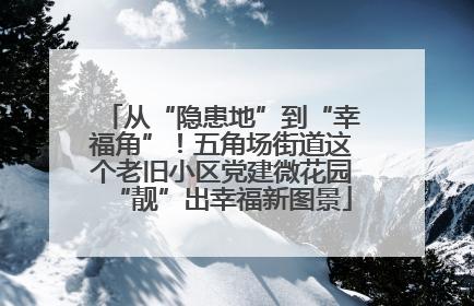 从“隐患地”到“幸福角”！五角场街道这个老旧小区党建微花园“靓”出幸福新图景