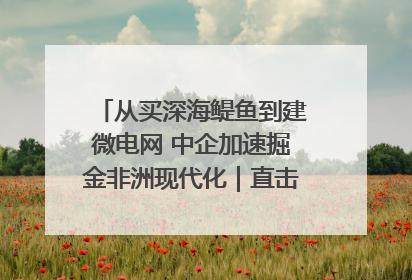 从买深海鳀鱼到建微电网 中企加速掘金非洲现代化｜直击中非经贸博览会