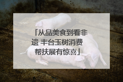 从品美食到看非遗 丰台玉树消费帮扶展有惊喜