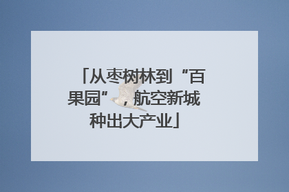 从枣树林到“百果园”，航空新城种出大产业