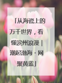 从海瓷上的万千世界，看懂滨州浪漫｜潮起渤海・网聚黄蓝