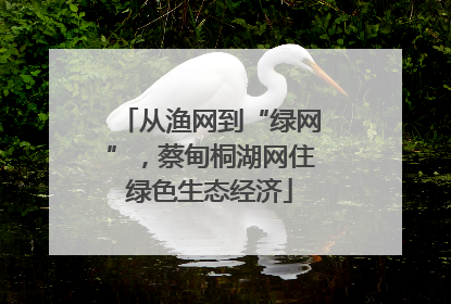 从渔网到“绿网”，蔡甸桐湖网住绿色生态经济