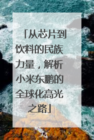 从芯片到饮料的民族力量，解析小米东鹏的全球化高光之路