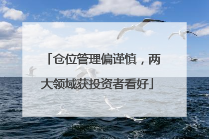 仓位管理偏谨慎，两大领域获投资者看好