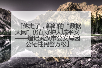 他走了，编织的“数据天网”仍在守护大城平安——追记武汉市公安局因公牺牲民警万松
