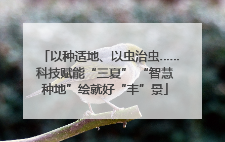 以种适地、以虫治虫……科技赋能“三夏” “智慧种地”绘就好“丰”景