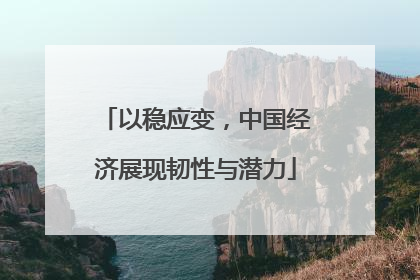 以稳应变，中国经济展现韧性与潜力