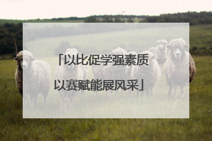 以比促学强素质 以赛赋能展风采