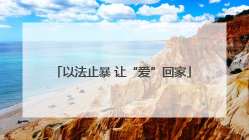 以法止暴 让“爱”回家