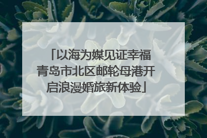 以海为媒见证幸福 青岛市北区邮轮母港开启浪漫婚旅新体验