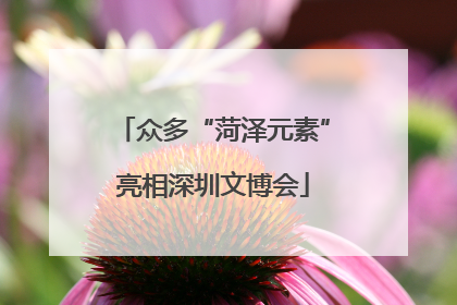 众多“菏泽元素”亮相深圳文博会