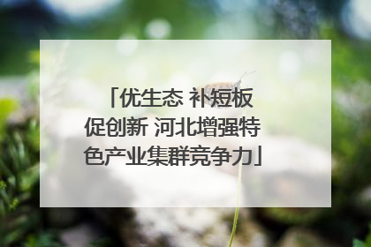 优生态 补短板 促创新 河北增强特色产业集群竞争力