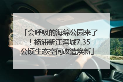 会呼吸的海绵公园来了！杨浦新江湾城7.35公顷生态空间改造焕新