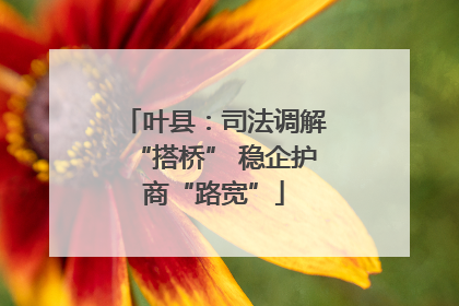 叶县：司法调解“搭桥” 稳企护商“路宽”