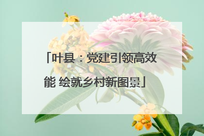 叶县：党建引领高效能 绘就乡村新图景