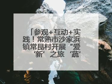 参观+互动+实践！常熟市沙家浜镇常昆村开展“爱‘新’之旅‘蔬’适生活”参观学习活动