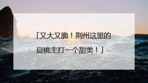 又大又脆！荆州这里的夏桃主打一个甜美！