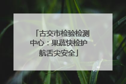 古交市检验检测中心：果蔬快检护航舌尖安全