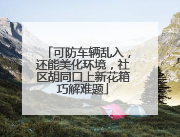 可防车辆乱入，还能美化环境，社区胡同口上新花箱巧解难题