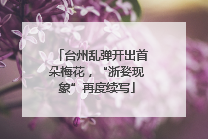 台州乱弹开出首朵梅花，“浙婺现象”再度续写