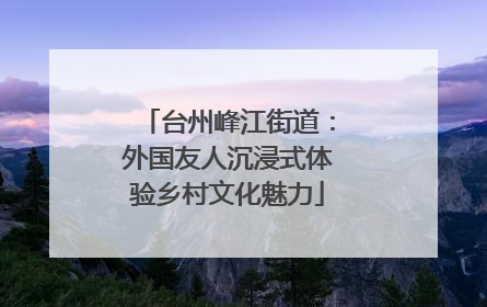 台州峰江街道：外国友人沉浸式体验乡村文化魅力