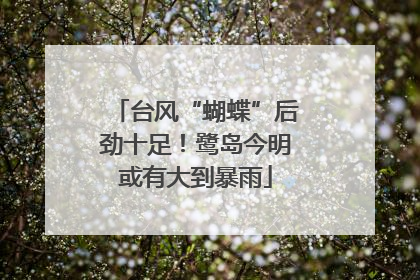 台风“蝴蝶”后劲十足！鹭岛今明或有大到暴雨