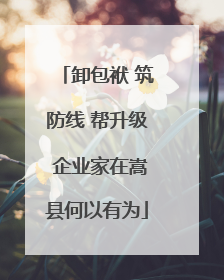 卸包袱 筑防线 帮升级 企业家在嵩县何以有为