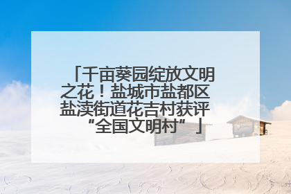 千亩葵园绽放文明之花！盐城市盐都区盐渎街道花吉村获评“全国文明村”