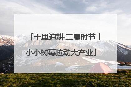 千里追耕·三夏时节丨小小树莓拉动大产业