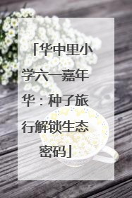 华中里小学六一嘉年华：种子旅行解锁生态密码