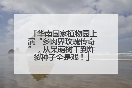 华南国家植物园上演“多肉界玫瑰传奇”，从呆萌树干到炸裂种子全是戏！
