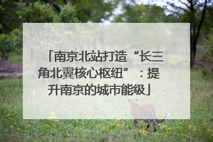 南京北站打造“长三角北翼核心枢纽”：提升南京的城市能级