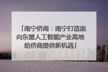 南宁侨商：南宁打造面向东盟人工智能产业高地给侨商提供新机遇