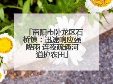 南阳市卧龙区石桥镇：迅速响应强降雨 连夜疏通河道护农田