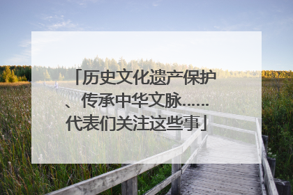 历史文化遗产保护、传承中华文脉……代表们关注这些事
