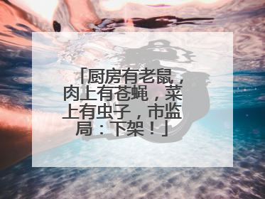 厨房有老鼠，肉上有苍蝇，菜上有虫子，市监局：下架！