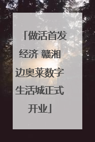 做活首发经济 赣湘边奥莱数字生活城正式开业