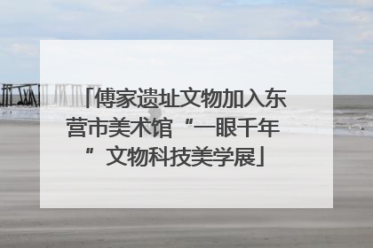 傅家遗址文物加入东营市美术馆“一眼千年”文物科技美学展