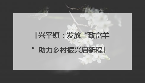 兴平镇：发放“致富羊”助力乡村振兴启新程