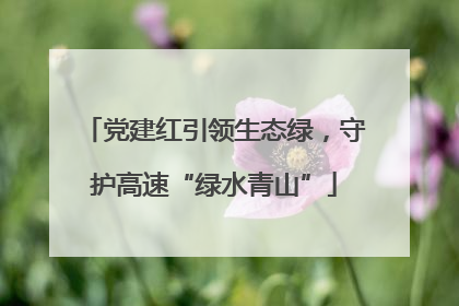 党建红引领生态绿，守护高速“绿水青山”