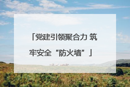 党建引领聚合力 筑牢安全“防火墙”