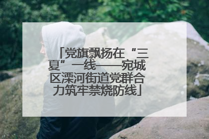 党旗飘扬在“三夏”一线——宛城区溧河街道党群合力筑牢禁烧防线